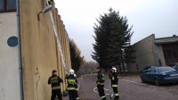 IMG_20181125_114532471